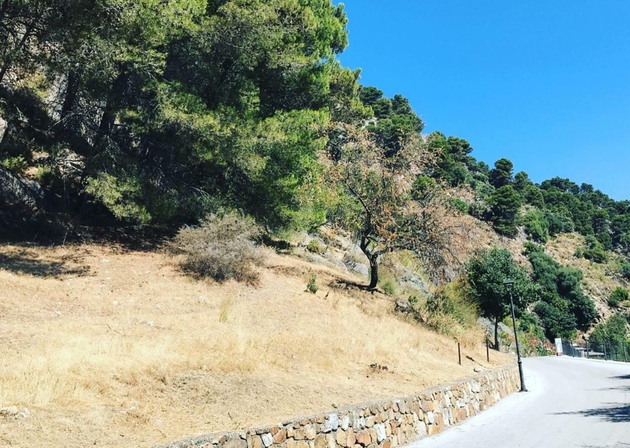 Country Sun Apartments Casarabonela Εξωτερικό φωτογραφία